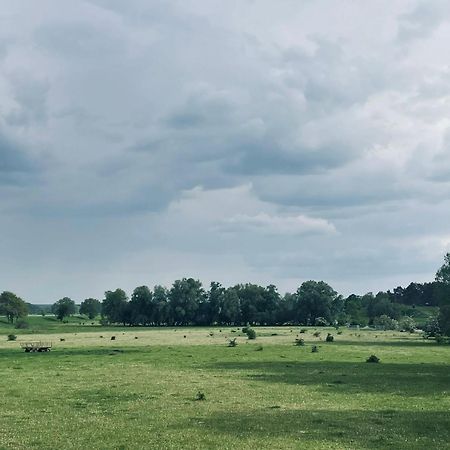 Ferienwohnungen Stolzenhagener 7 Lunow-Stolzenhagen ภายนอก รูปภาพ
