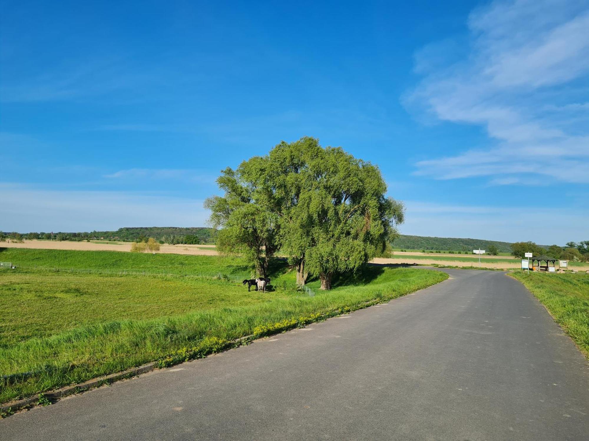 Ferienwohnungen Stolzenhagener 7 Lunow-Stolzenhagen ภายนอก รูปภาพ