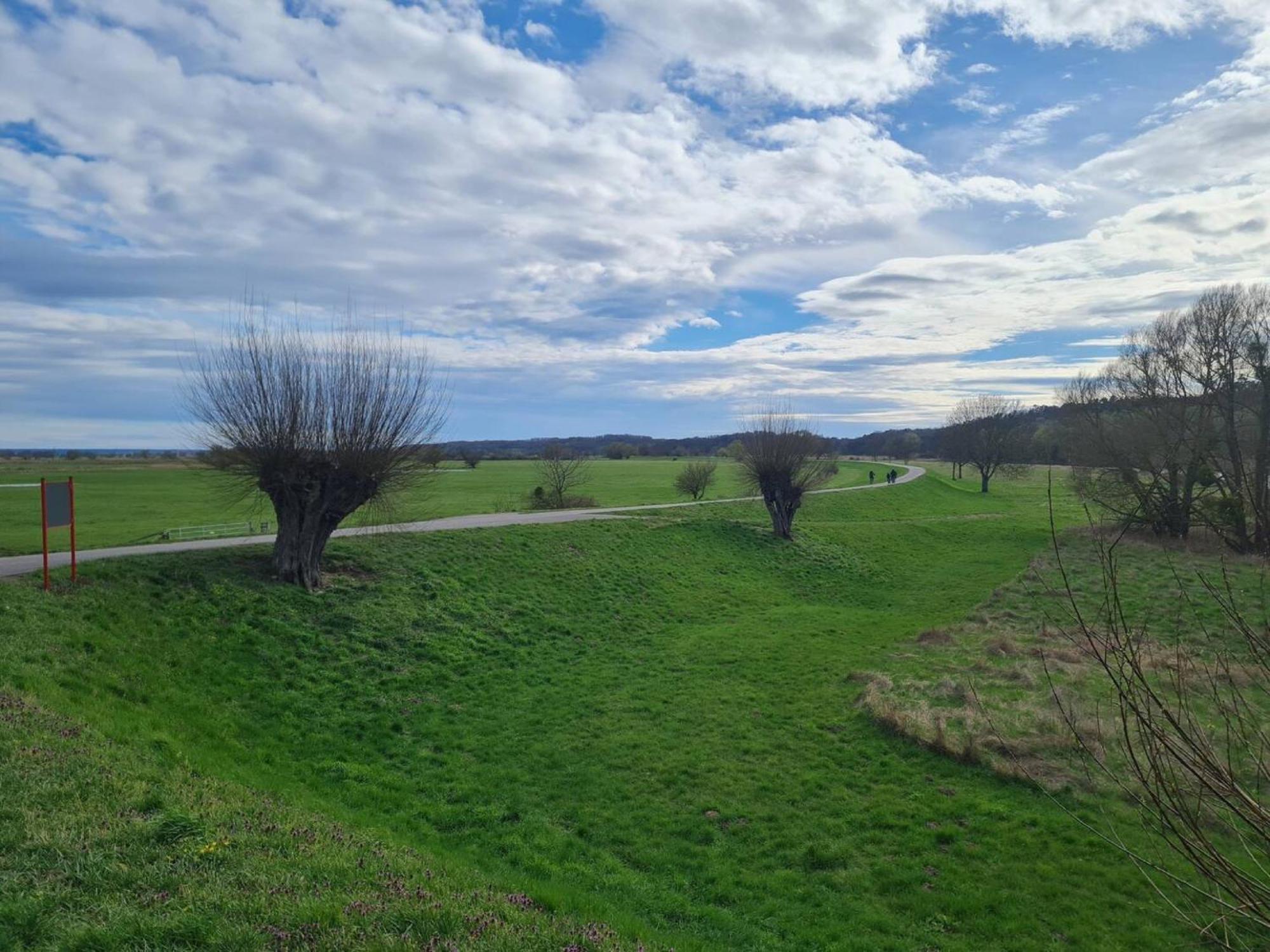 Ferienwohnungen Stolzenhagener 7 Lunow-Stolzenhagen ภายนอก รูปภาพ
